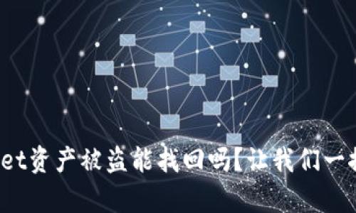 tpwallet资产被盗能找回吗？让我们一探究竟！