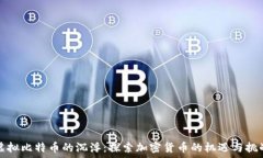   虚拟比特币的沉浮：探索