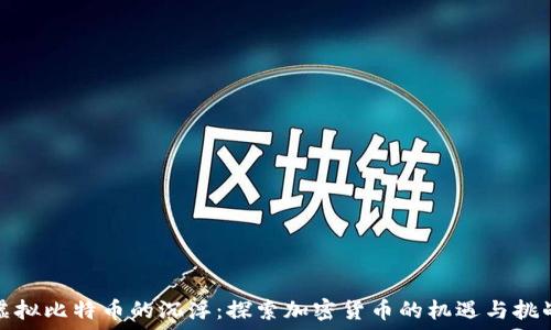   
虚拟比特币的沉浮：探索加密货币的机遇与挑战