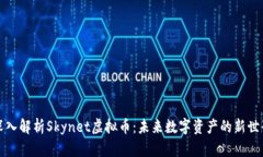 深入解析Skynet虚拟币：未