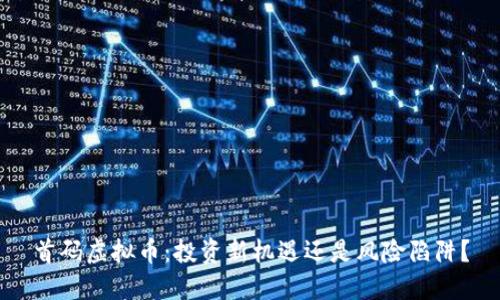 首码虚拟币：投资新机遇还是风险陷阱？