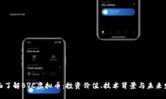 全面了解BVC虚拟币：投资
