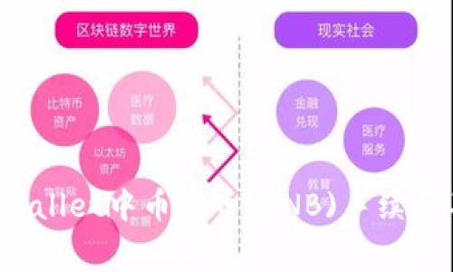 如何解决TPWallet中币安币(BNB)手续费不足的问题？