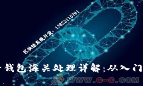 虚拟币电子钱包海关处理详解：从入门到深入解析