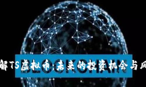 深入了解TS虚拟币：未来的投资机会与风险分析