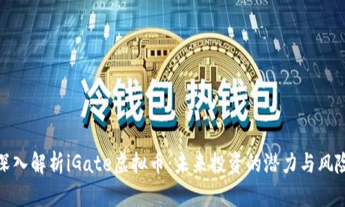 深入解析iGate虚拟币：未来投资的潜力与风险