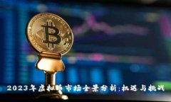 2023年虚拟币市场全景分析