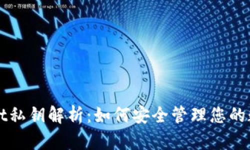 TPWallet私钥解析：如何安全管理您的数字资产