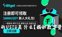 虚拟币中的USID是什么？揭