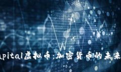 深入了解Capital虚拟币：加