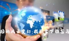 虚拟币市场的风云变幻：