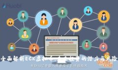 全面解析ECK虚拟币：未来