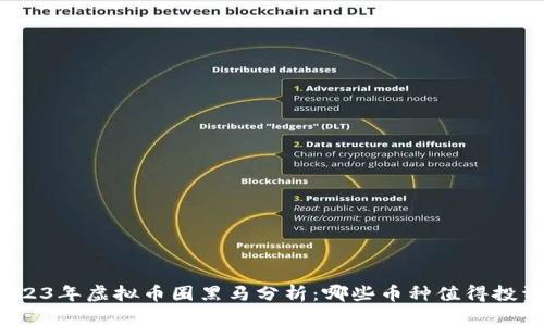 2023年虚拟币圈黑马分析：哪些币种值得投资？