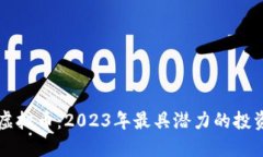 FLLS虚拟币：2023年最具潜力