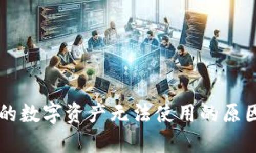 TPWallet中的数字资产无法使用的原因与解决方案