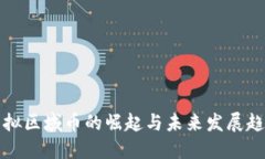 虚拟区域币的崛起与未来