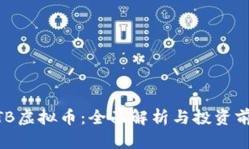 MTB虚拟币：全面解析与投资前景