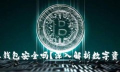 虚拟币上钱包安全吗？深