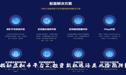 揭秘虚拟币平台Z：投资新机遇还是风险陷阱？