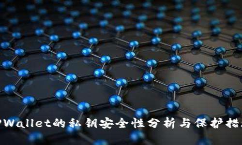 TPWallet的私钥安全性分析与保护措施