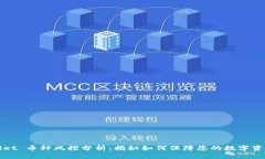 TPWallet 币种风控分析：揭