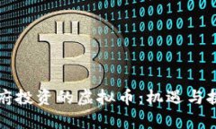 上海政府投资的虚拟币：