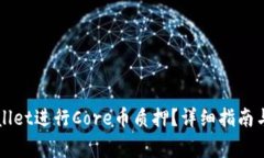 如何通过TPWallet进行Core币