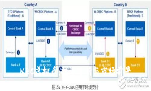  MEC虚拟币：投资分析与市场前景 