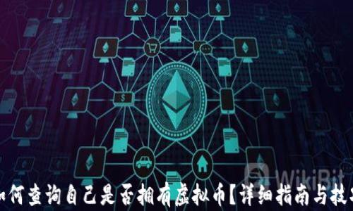 
如何查询自己是否拥有虚拟币？详细指南与技巧