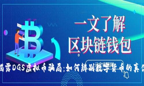 揭露DGS虚拟币骗局：如何辨别数字货币的真伪