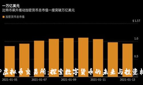 SGP虚拟币交易所：探索数字货币的未来与投资机会
