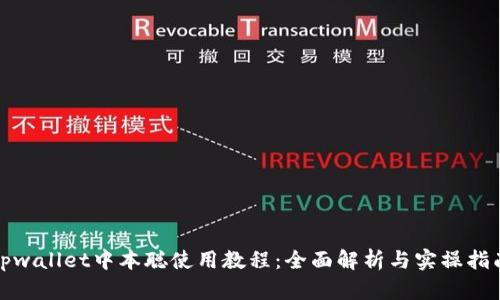 tpwallet中本聪使用教程：全面解析与实操指南