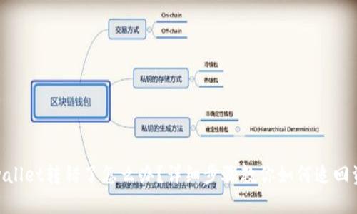 tpwallet转错了怎么办？详细步骤教你如何追回资金