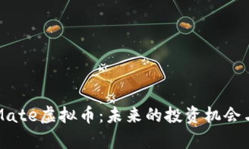 深入解析Mate虚拟币：未来的投资机会与风险分析
