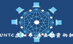 深入了解UNTC虚拟币：未来