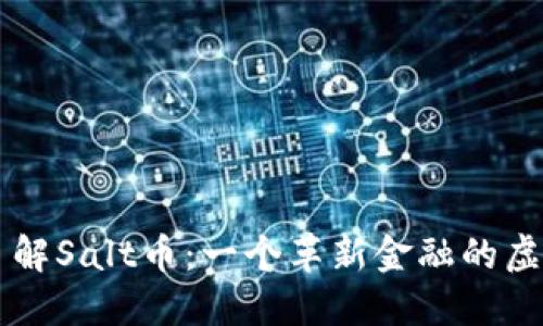 深入了解Salt币：一个革新金融的虚拟货币