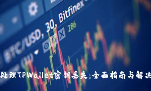 如何处理TPWallet密钥丢失：全面指南与解决方案