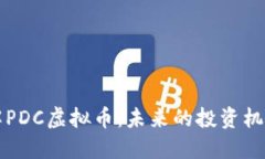 深入了解PDC虚拟币：未来