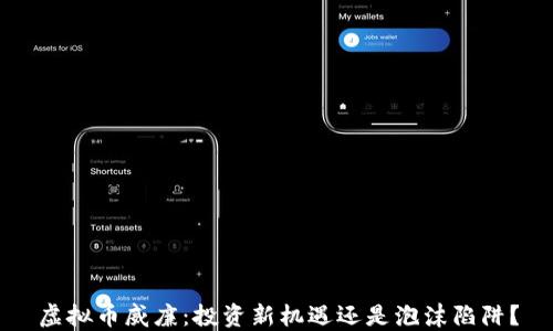 
虚拟币威廉：投资新机遇还是泡沫陷阱？