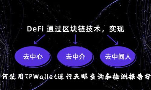 如何使用TPWallet进行天眼查询和检测报告分析