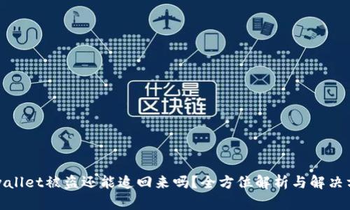 tpwallet被盗还能追回来吗？全方位解析与解决方案