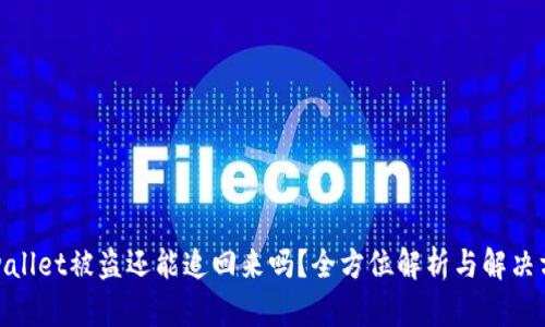 tpwallet被盗还能追回来吗？全方位解析与解决方案