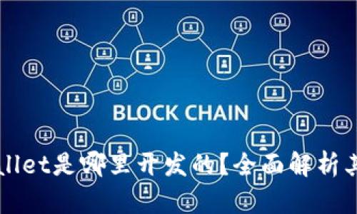 ### tpwallet是哪里开发的？全面解析其背景与实力