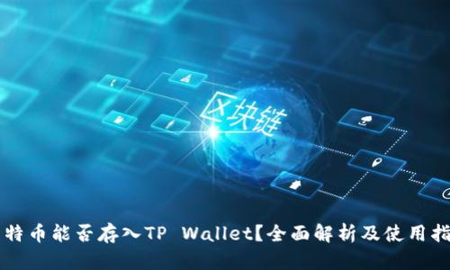 莱特币能否存入TP Wallet？全面解析及使用指南