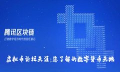 虚拟币论坛天涯：您了解