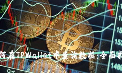 如何在TPWallet中查询数据：全面指南