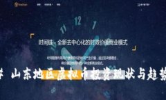 ### 山东地区虚拟币投资现