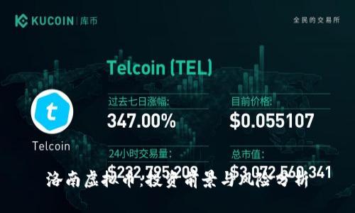 洛南虚拟币：投资前景与风险分析