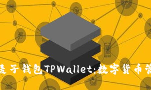全面解析麦子钱包TPWallet：数字货币管理新选择