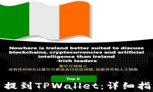 
如何将狗狗币提到TPWallet：详细指南与注意事项
